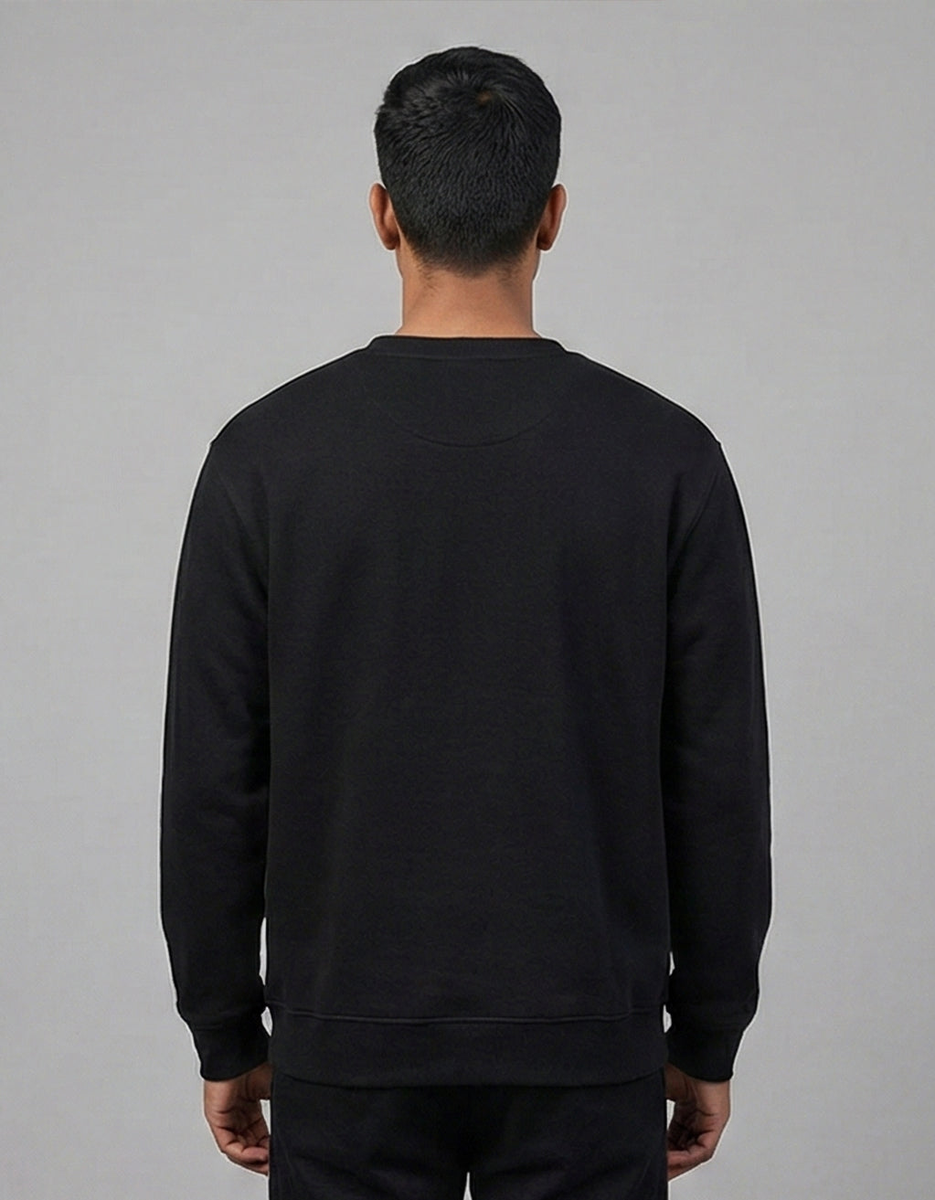 Men's Sweatshirt (Astryx)